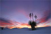 White Sands